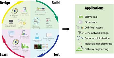 Frontiers | Computer-Aided Whole-Cell Design: Taking A Holistic ...